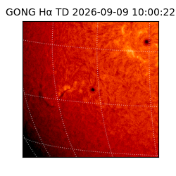 gong - 2026-09-09T10:00:22