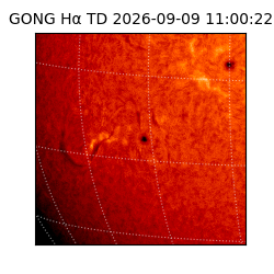 gong - 2026-09-09T11:00:22