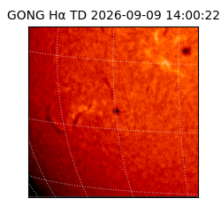 gong - 2026-09-09T14:00:22