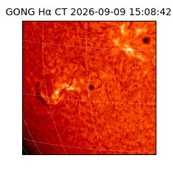 gong - 2026-09-09T15:08:42