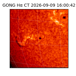 gong - 2026-09-09T16:00:42