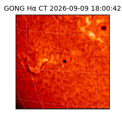 gong - 2026-09-09T18:00:42