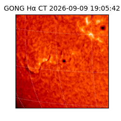 gong - 2026-09-09T19:05:42