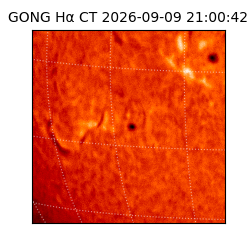 gong - 2026-09-09T21:00:42