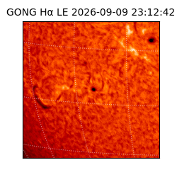 gong - 2026-09-09T23:12:42