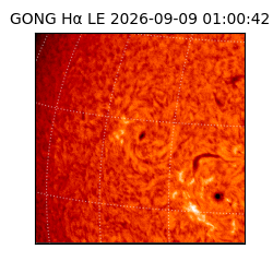 gong - 2026-09-09T01:00:42