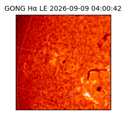gong - 2026-09-09T04:00:42