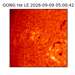 gong - 2026-09-09T05:00:42