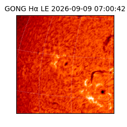 gong - 2026-09-09T07:00:42