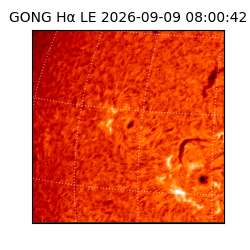 gong - 2026-09-09T08:00:42