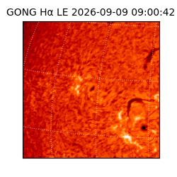 gong - 2026-09-09T09:00:42