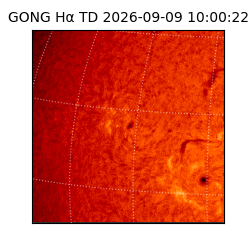 gong - 2026-09-09T10:00:22