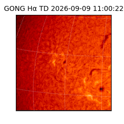 gong - 2026-09-09T11:00:22
