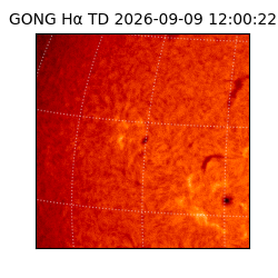 gong - 2026-09-09T12:00:22