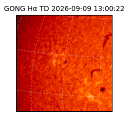 gong - 2026-09-09T13:00:22
