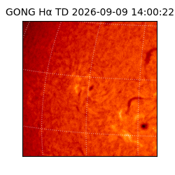 gong - 2026-09-09T14:00:22