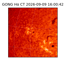 gong - 2026-09-09T16:00:42