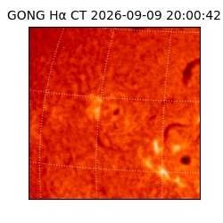 gong - 2026-09-09T20:00:42