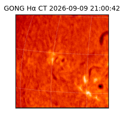 gong - 2026-09-09T21:00:42
