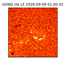 gong - 2026-09-09T01:00:42
