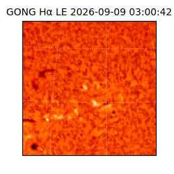 gong - 2026-09-09T03:00:42