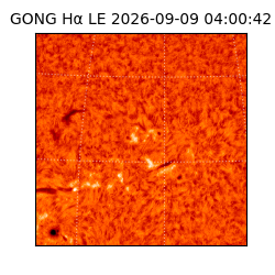 gong - 2026-09-09T04:00:42
