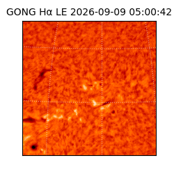 gong - 2026-09-09T05:00:42