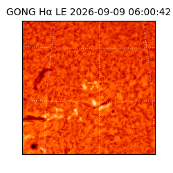 gong - 2026-09-09T06:00:42