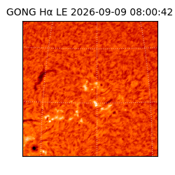 gong - 2026-09-09T08:00:42