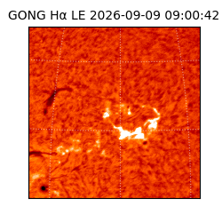 gong - 2026-09-09T09:00:42