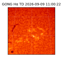 gong - 2026-09-09T11:00:22