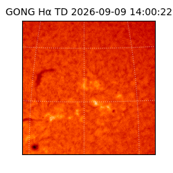 gong - 2026-09-09T14:00:22