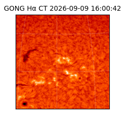 gong - 2026-09-09T16:00:42