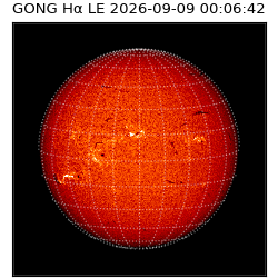 gong - 2026-09-09T00:06:42