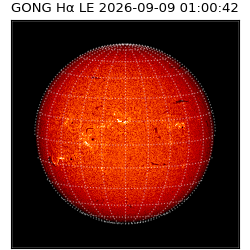 gong - 2026-09-09T01:00:42