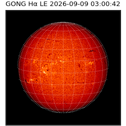 gong - 2026-09-09T03:00:42