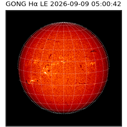 gong - 2026-09-09T05:00:42