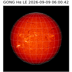 gong - 2026-09-09T06:00:42