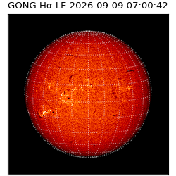 gong - 2026-09-09T07:00:42