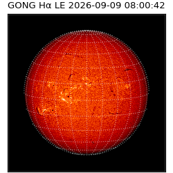 gong - 2026-09-09T08:00:42