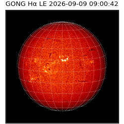 gong - 2026-09-09T09:00:42