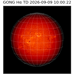 gong - 2026-09-09T10:00:22