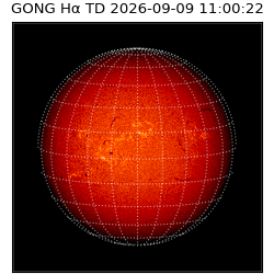 gong - 2026-09-09T11:00:22