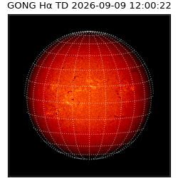 gong - 2026-09-09T12:00:22
