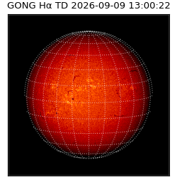 gong - 2026-09-09T13:00:22