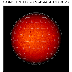 gong - 2026-09-09T14:00:22