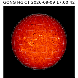 gong - 2026-09-09T17:00:42