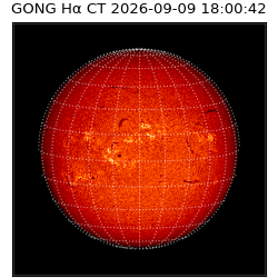 gong - 2026-09-09T18:00:42