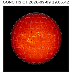 gong - 2026-09-09T19:05:42