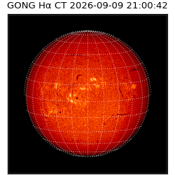 gong - 2026-09-09T21:00:42